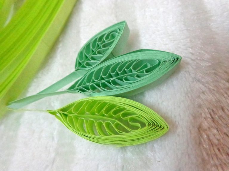 quilling leaves tutorial 14