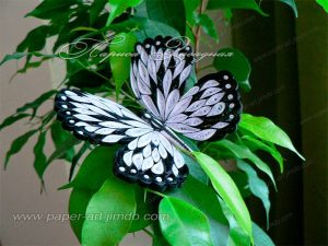 quilled butterfly tutorial with layour board
